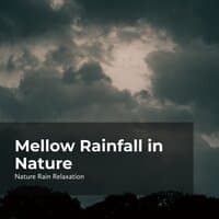 Mellow Rainfall in Nature