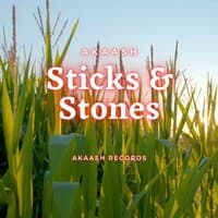 Sticks & Stones