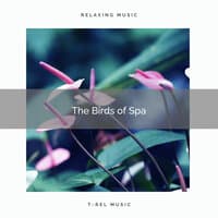 2021 The Birds of Spa