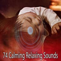 74 Calming Relaxing Sounds