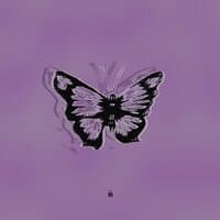 BUTTERFLIES: PHASE 3