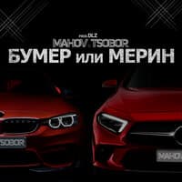 Бумер или Мерин (prod. by DLZ)