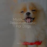 Mystical Spa Relaxation Music For Dogs