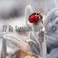 77 Mr Sandmans Baby Album