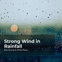 Strong Wind in Rainfall