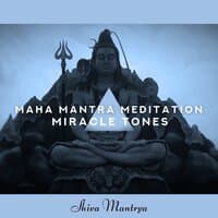 Maha Mantra Meditation: Miracle Tones