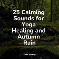 25 Calming Sounds for Yoga Healing and Autumn Rain