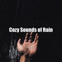 Cozy Sounds of Rain