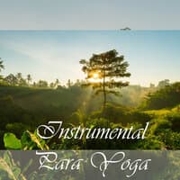 Instrumental Para Yoga