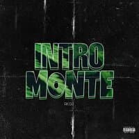 Intro Monte