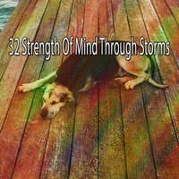 32 Strength of Mind Through Storms