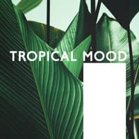 Tropical Mood – Daily Dose of Summer Electro Chill Out Vibes