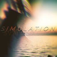 Simulation