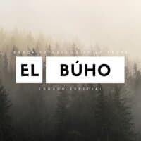 El búho