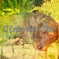 27 Evolve with a Storm