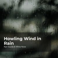 Howling Wind in Rain