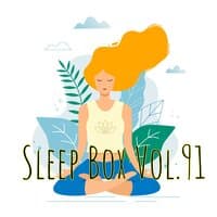 Sleep Box Vol.91