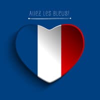 Allez Les Bleus!