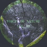 Voices of Nature, Vol. III