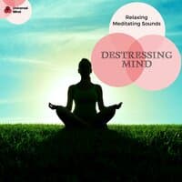 Destressing Mind - Relaxing Meditating Sounds