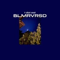 BLMRVRSD