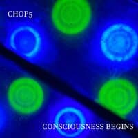 Consciousness Begins