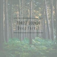 Deep Forest