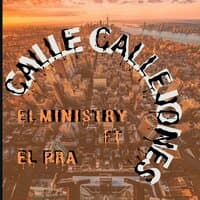 Calle Callejones