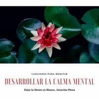 Desarrollar la Calma Mental: Canciones para Meditar, Dejar la Mente en Blanco, Atención Plena