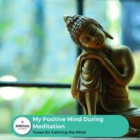 My Positive Mind During Meditation - Tunes For Calming The Mind