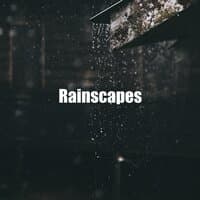 Rainscapes