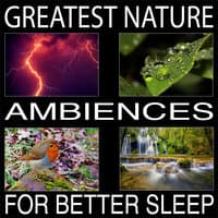 #Greatest Asmr Nature Sound Escapes