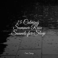 25 Calming Summer Rain Sounds for Sleep