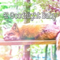 42 Goodnight Baby