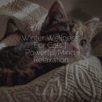 Winter Wellness For Cats | Powerful Mind Relaxation