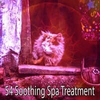 54 Soothing Spa Treatment