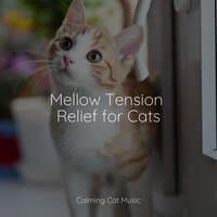 Mellow Tension Relief for Cats