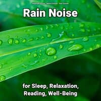 Rain Noise for Sleep, Relaxation, Reading, Well-Being