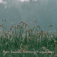 Rain Sounds: Soothing Frequencies