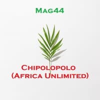 Chipolopolo