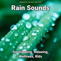 Rain Sounds for Sleeping, Relaxing, Wellness, Kids