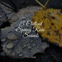 25 Chillout Spring Rain Sounds