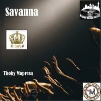 Savanna