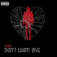 Don't Want Love