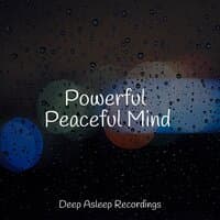 Powerful Peaceful Mind