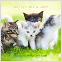 Sleepy Cats & Jazz