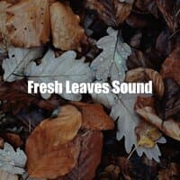 Fresh Leaves Sound