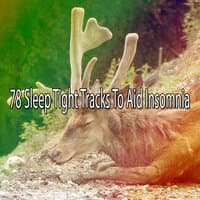 78 Sleep Tight Tracks to Aid Insomnia