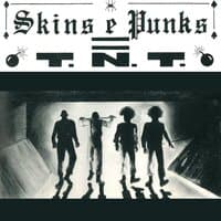 Skins e Punks = T.N.T.