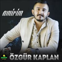 Amirim